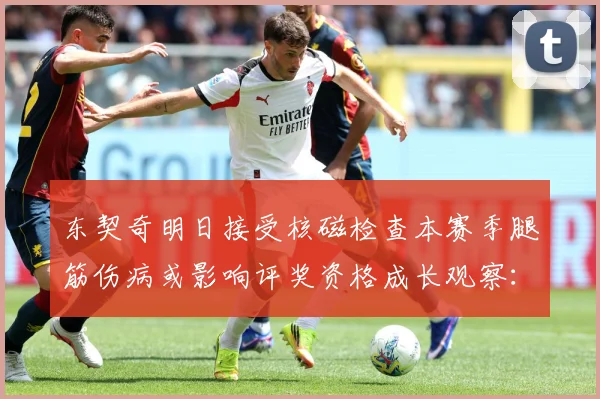 东契奇明日接受核磁检查本赛季腿筋伤病或影响评奖资格成长观察：最新赛事动态与深度分析